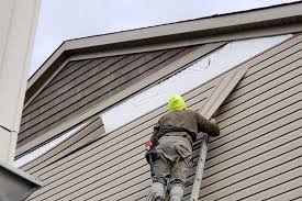 Best Historical Building Siding Restoration  in Telford, TN